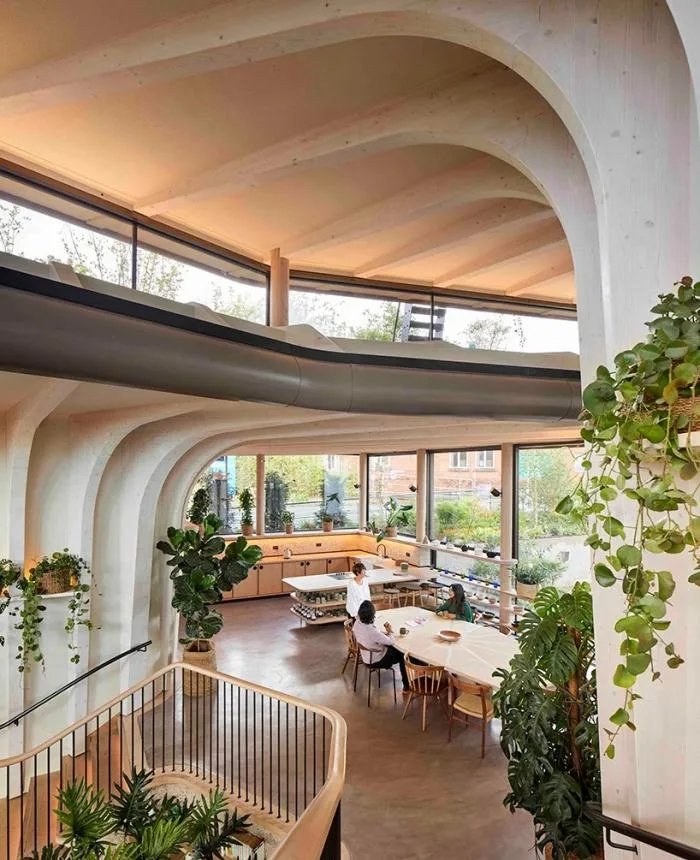 BIM Architecture | Heswick's New Work: Maggie Cancer Care Centre in Leeds, a Life friendly 'Plant Vine Frame'