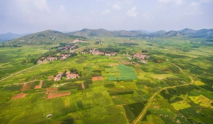 BIM Architecture | Zhiziling Ideal Village/Huajian Group · Shanghai Design Free Studio
