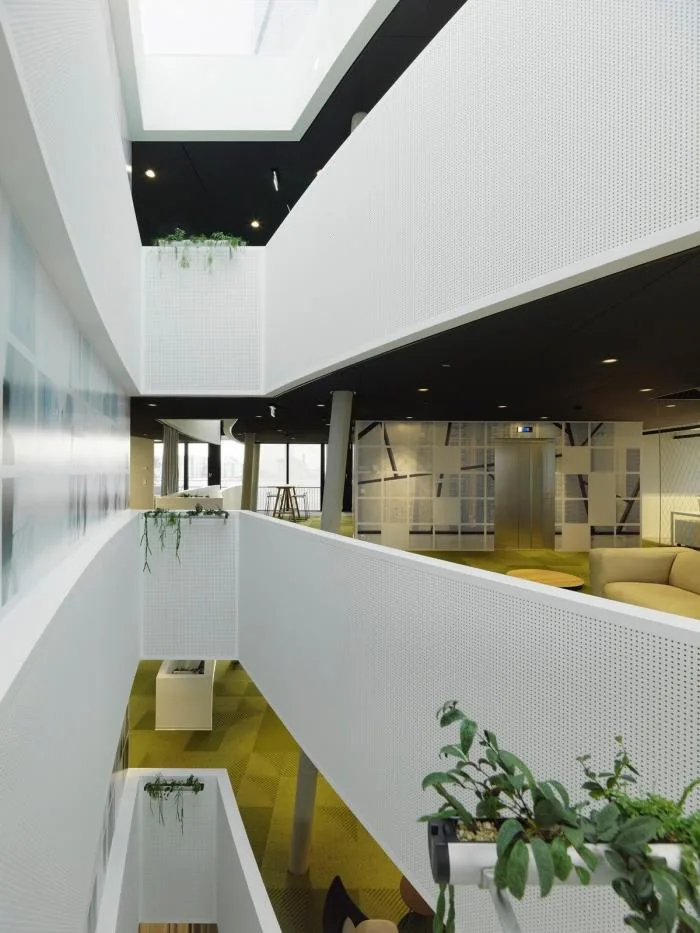BIM Architecture | Outer Square and Inner Circle, Half Concealed Transparent Light and Shadow - C& P Company Headquarters