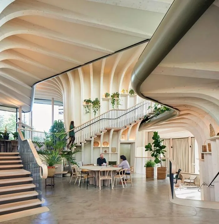 BIM Architecture | Heswick's New Work: Maggie Cancer Care Centre in Leeds, a Life friendly 'Plant Vine Frame'