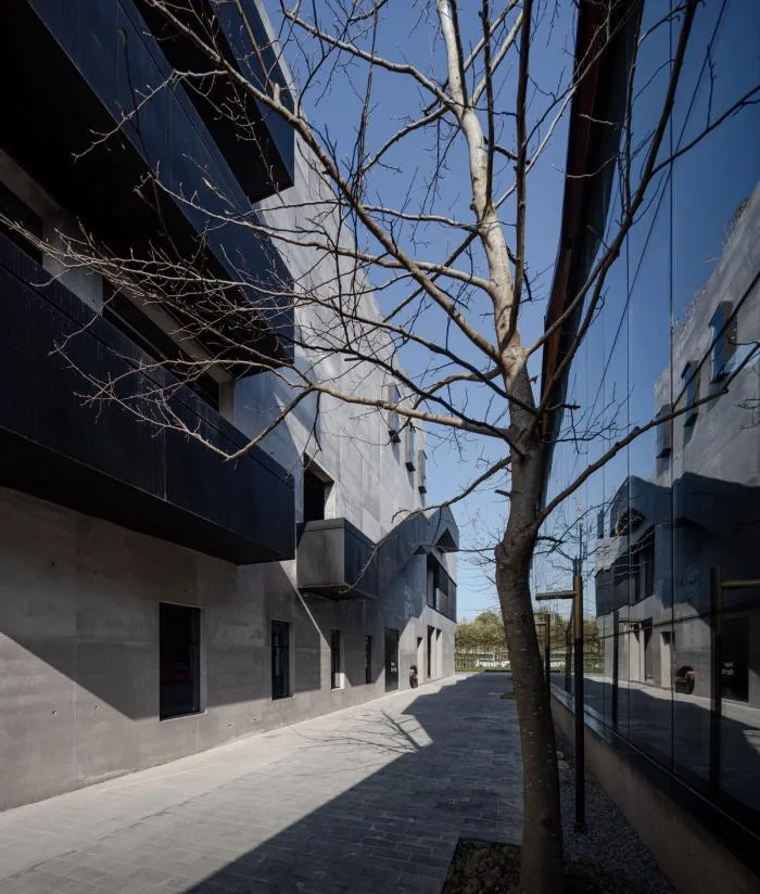 BIM Architecture | Light and Shadow Dance, Wild Growth - FOR Tianwu Space/Benzhe Architecture