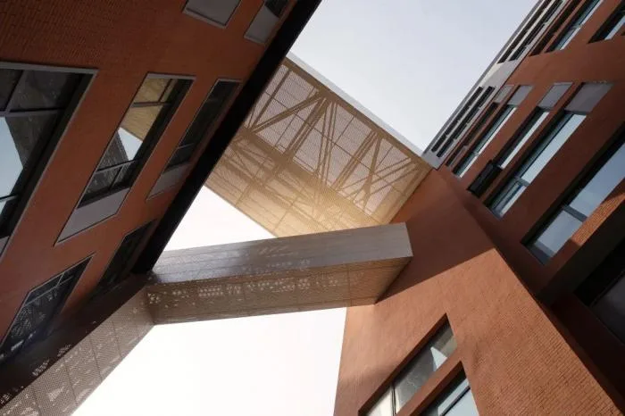 Urban Renewal | Integration and Symbiosis of Art, Commerce, and Space