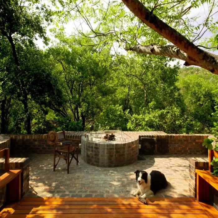 BIM Architecture | Quiet and Simple Residence, Hidden in the Forest: A Narrow House in South Africa