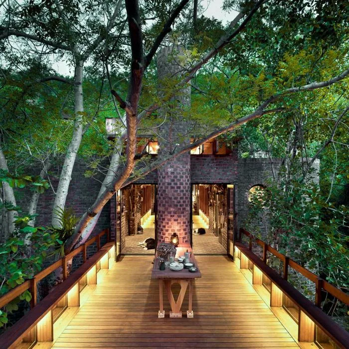BIM Architecture | Quiet and Simple Residence, Hidden in the Forest: A Narrow House in South Africa