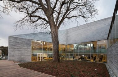 BIM Architecture: Town Tree Courtyard at Queenstown Media Library-BIM WORLD