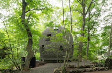 BIM Architecture: Charming Shell-Shaped Earthen Homes Nestled in the Forest-BIM WORLD