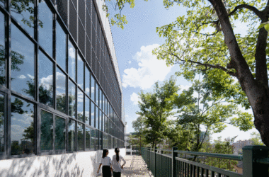 BIM Architecture: Conceptual Design for Yunnan Yuxi Ecological Experimental Primary School Campus Regeneration-BIM WORLD