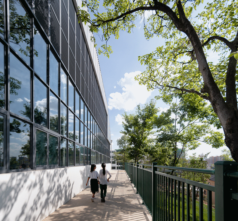 BIM Architecture | Campus Regeneration, Half Mountain Half School: Yunnan Yuxi Ecological Experimental Primary School/Conceptual Design