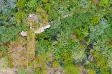 BIM Architecture: A Serene and Minimalist Narrow House Nestled in a South African Forest-BIM WORLD