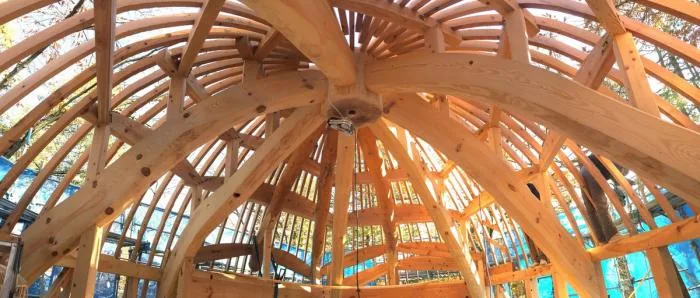 BIM architecture | Cute and playful, shell shaped earthen houses in the forest
