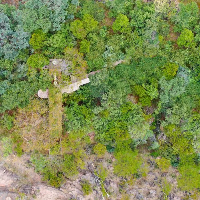 BIM Architecture | Quiet and Simple Residence, Hidden in the Forest: A Narrow House in South Africa
