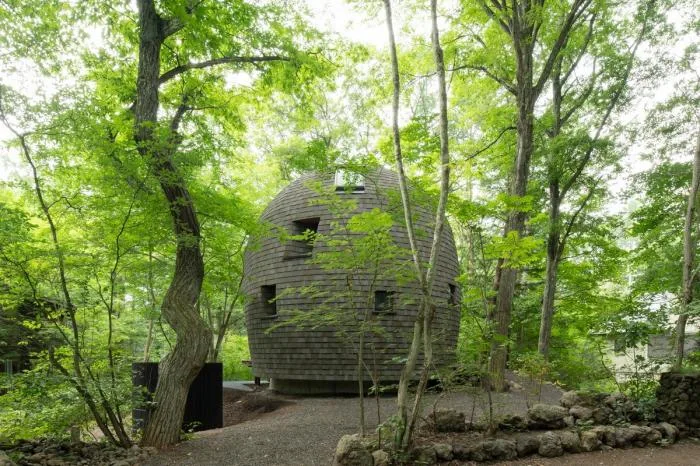 BIM architecture | Cute and playful, shell shaped earthen houses in the forest