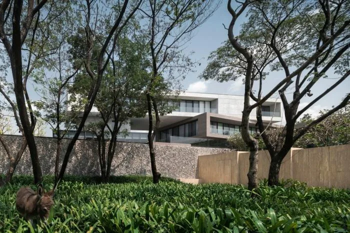 BIM Architecture | Stacking and Twisting Like Wind Trucks - Residential Buildings at the Edge of Rainforest
