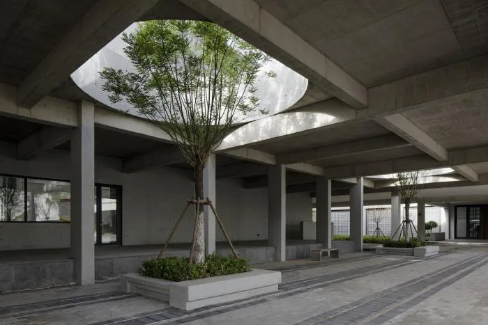 Plant growth tree hole © Peter Dixie (UK)/Luotang Architectural Photography