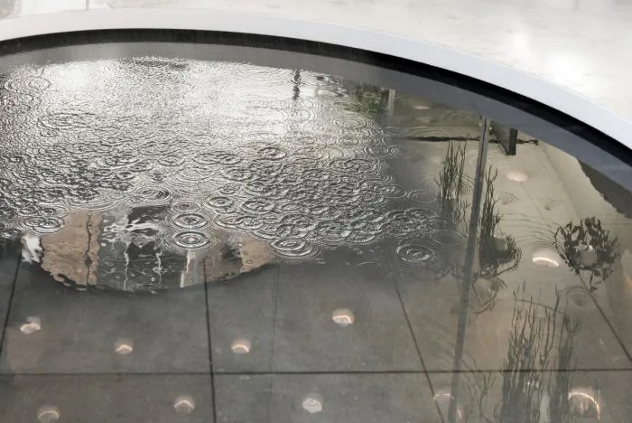 BIM Architecture | Greenery and Enchanting Twisting: Rain and Rain Houses