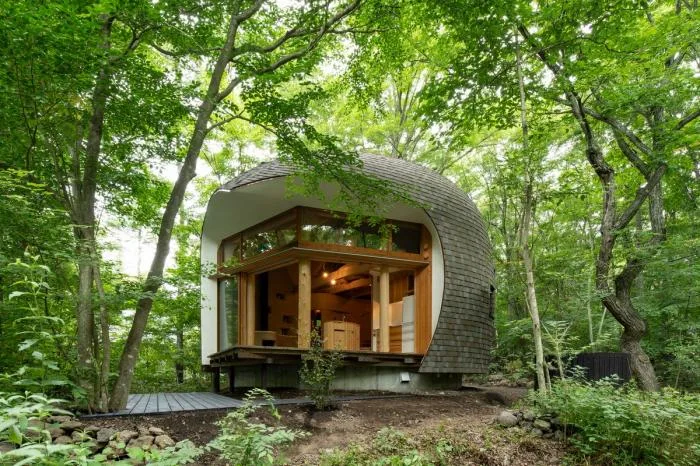 BIM architecture | Cute and playful, shell shaped earthen houses in the forest
