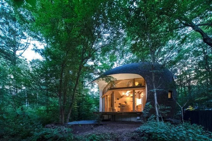 BIM architecture | Cute and playful, shell shaped earthen houses in the forest