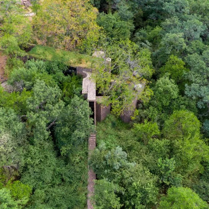 BIM Architecture | Quiet and Simple Residence, Hidden in the Forest: A Narrow House in South Africa