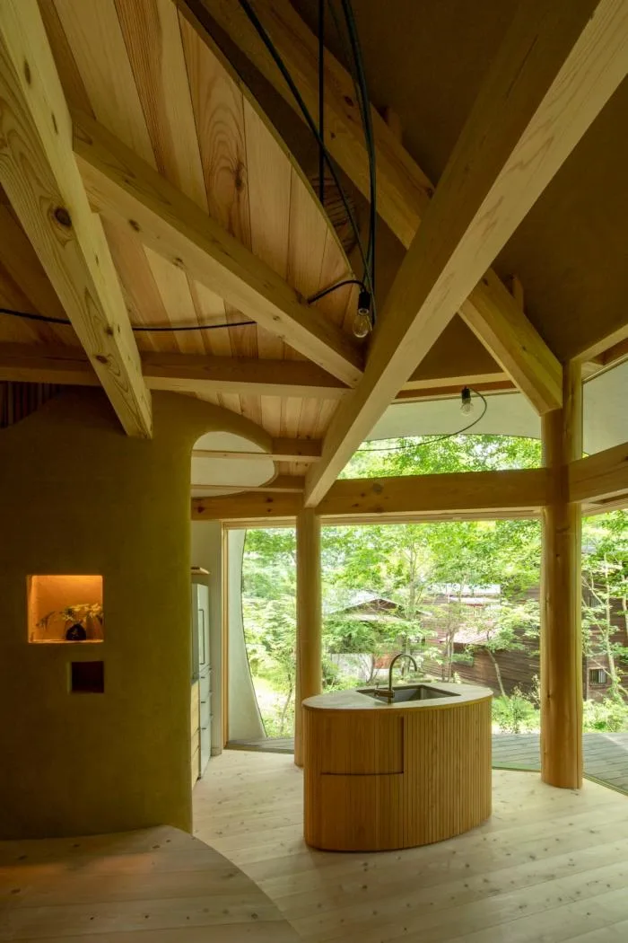 BIM architecture | Cute and playful, shell shaped earthen houses in the forest