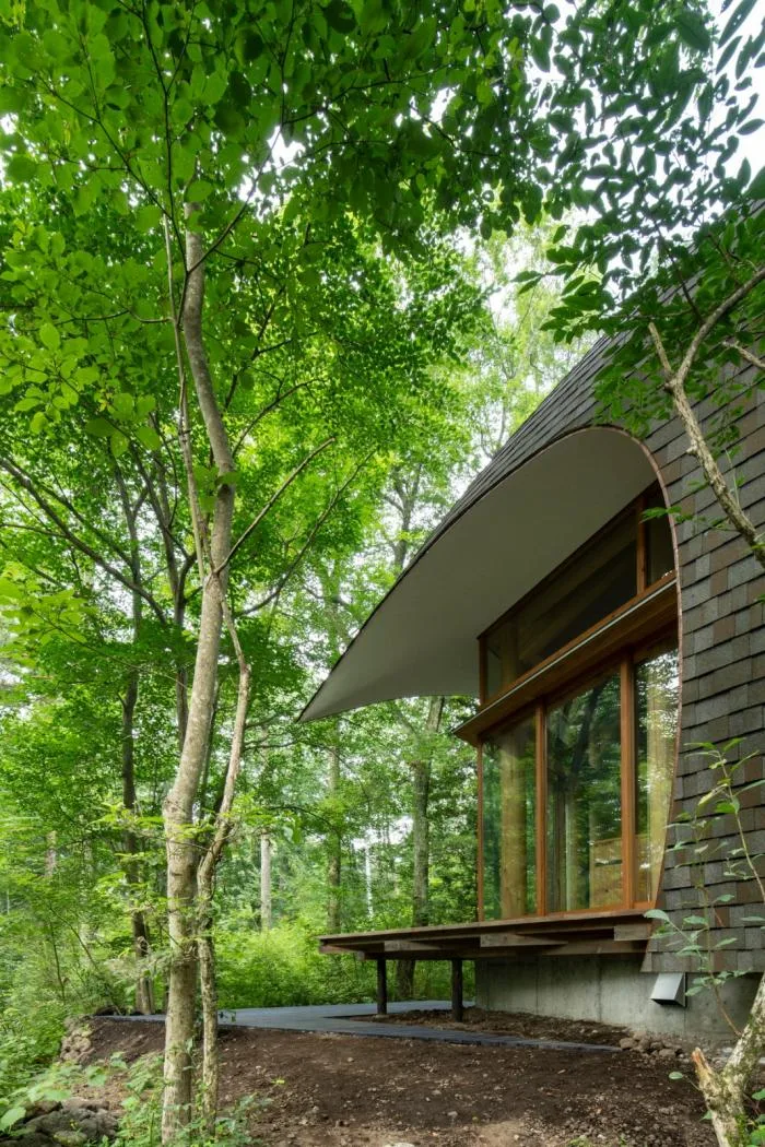 BIM architecture | Cute and playful, shell shaped earthen houses in the forest