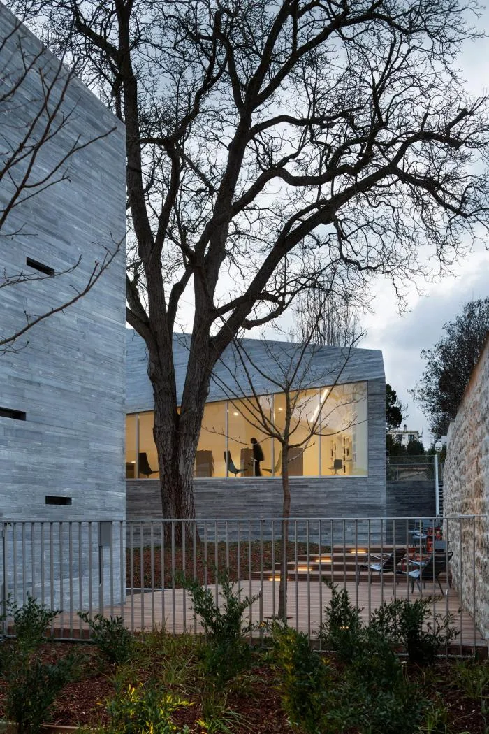 BIM Architecture | Town Tree Courtyard - Queenstown Media Library
