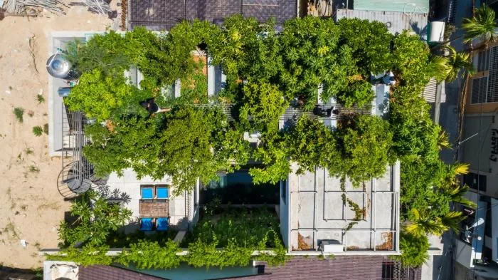 BIM Architecture | Scattered Boxes, Breathable 'Green Lung': Danang Residential/Wu Chongyi Architectural Firm