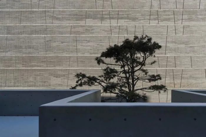 BIM Architecture | Chengde Museum/Huahui Construction