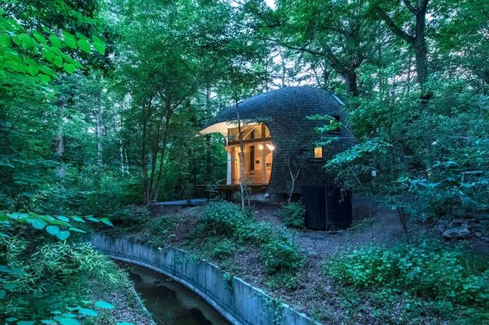 BIM architecture | Cute and playful, shell shaped earthen houses in the forest