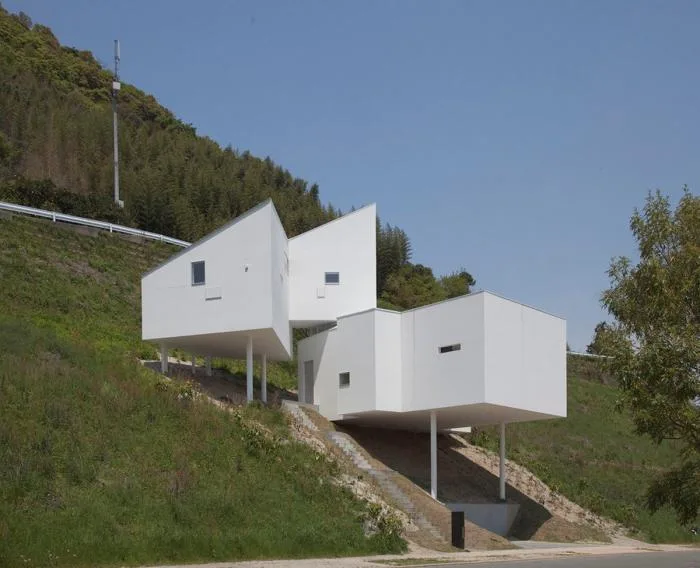 BIM Architecture | Residential Buildings on Slopes: 8008