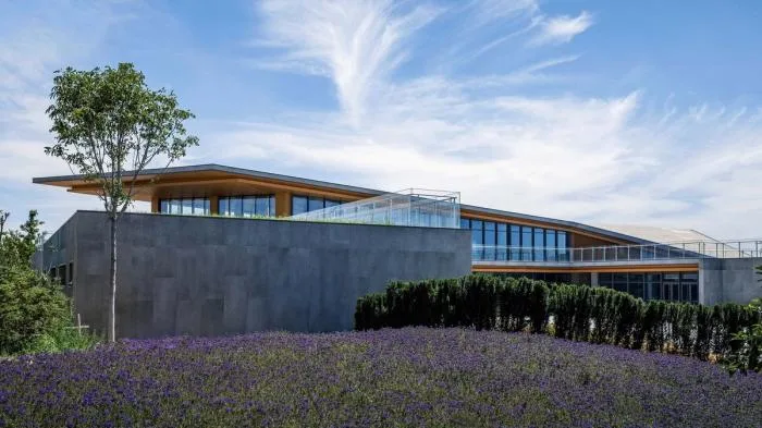 BIM Architecture | Traces of the Earth: Seven Colored Mountain Mine Garden Visitor Center/UUA Architects