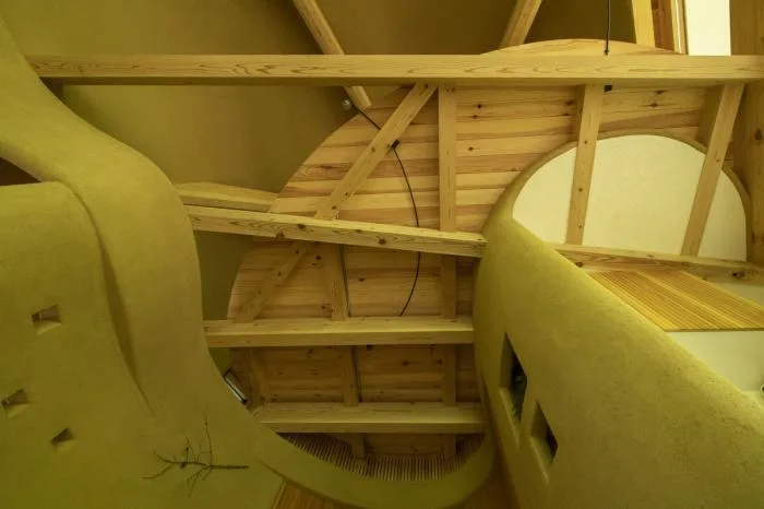 BIM architecture | Cute and playful, shell shaped earthen houses in the forest