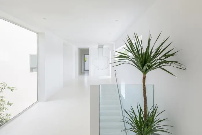 BIM Architecture | Landscape Wanhua Tube - Lu Zhai/AMS Yuanxiu Wan Architecture Firm