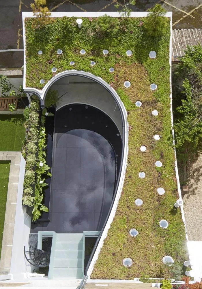 BIM Architecture | Greenery and Enchanting Twisting: Rain and Rain Houses
