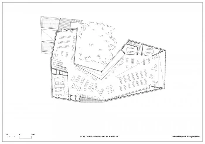BIM Architecture | Town Tree Courtyard - Queenstown Media Library