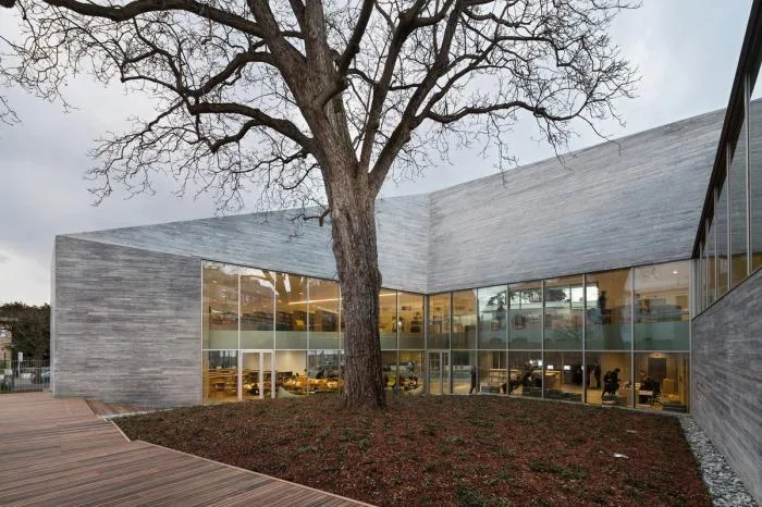 BIM Architecture | Town Tree Courtyard - Queenstown Media Library