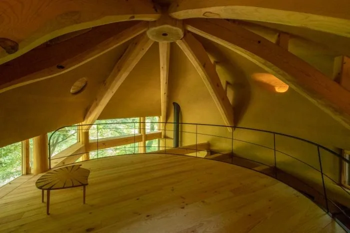 BIM architecture | Cute and playful, shell shaped earthen houses in the forest