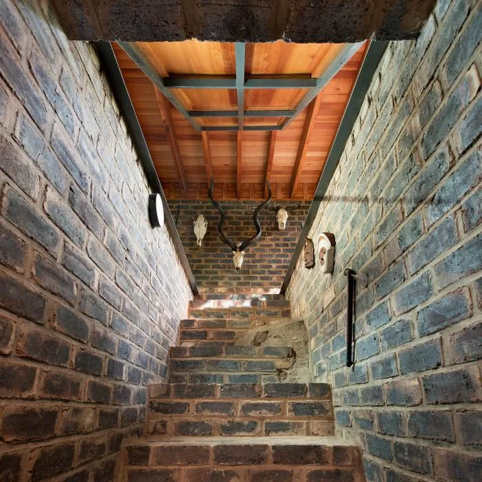 BIM Architecture | Quiet and Simple Residence, Hidden in the Forest: A Narrow House in South Africa