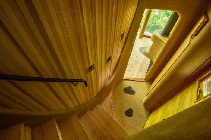 BIM architecture | Cute and playful, shell shaped earthen houses in the forest