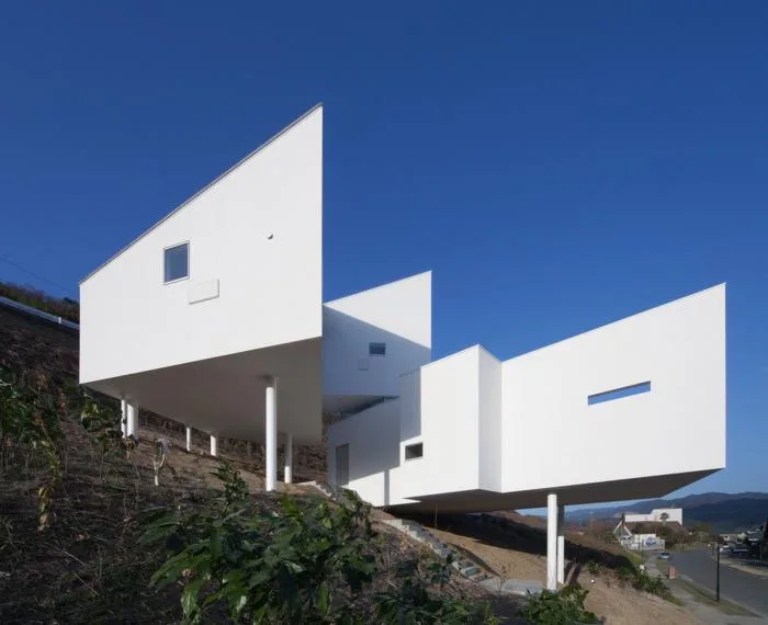 BIM Architecture | Residential Buildings on Slopes: 8008