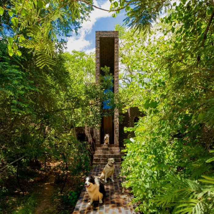 BIM Architecture | Quiet and Simple Residence, Hidden in the Forest: A Narrow House in South Africa