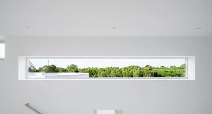 BIM Architecture | Landscape Wanhua Tube - Lu Zhai/AMS Yuanxiu Wan Architecture Firm