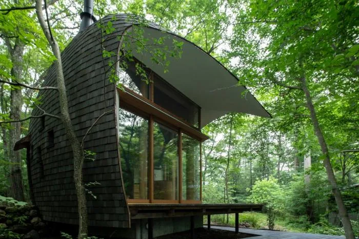 BIM architecture | Cute and playful, shell shaped earthen houses in the forest