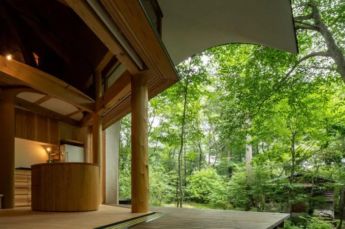 BIM architecture | Cute and playful, shell shaped earthen houses in the forest