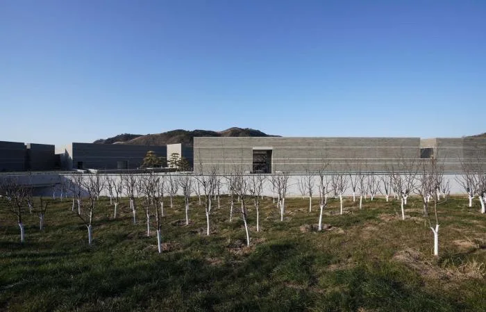 BIM Architecture | Chengde Museum/Huahui Construction