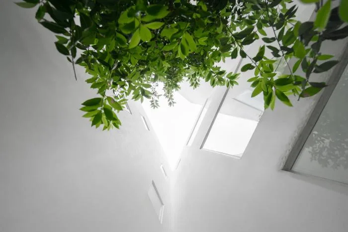 BIM Architecture | Landscape Wanhua Tube - Lu Zhai/AMS Yuanxiu Wan Architecture Firm