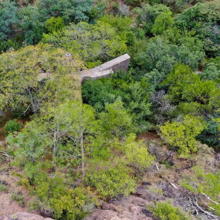 BIM Architecture | Quiet and Simple Residence, Hidden in the Forest: A Narrow House in South Africa