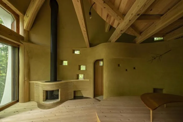 BIM architecture | Cute and playful, shell shaped earthen houses in the forest