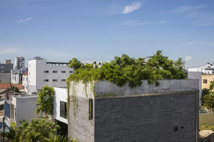 BIM Architecture | Scattered Boxes, Breathable 'Green Lung': Danang Residential/Wu Chongyi Architectural Firm