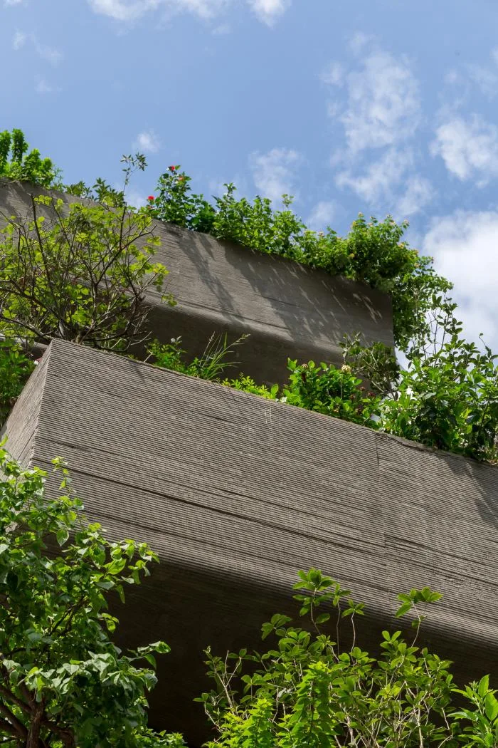 BIM Architecture | Dancing Sky Garden: Vietnamese Row House