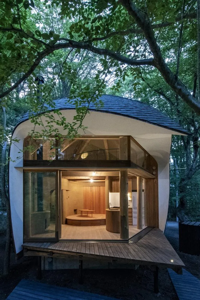 BIM architecture | Cute and playful, shell shaped earthen houses in the forest